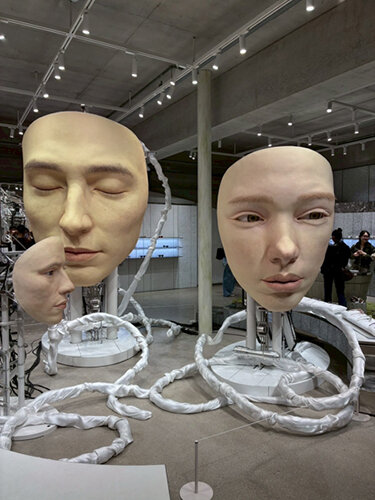 7443BDF3-3496-49D0-B7C5-9159E4D08E75.jpg