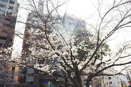 IMG_9706 のコピー.jpg